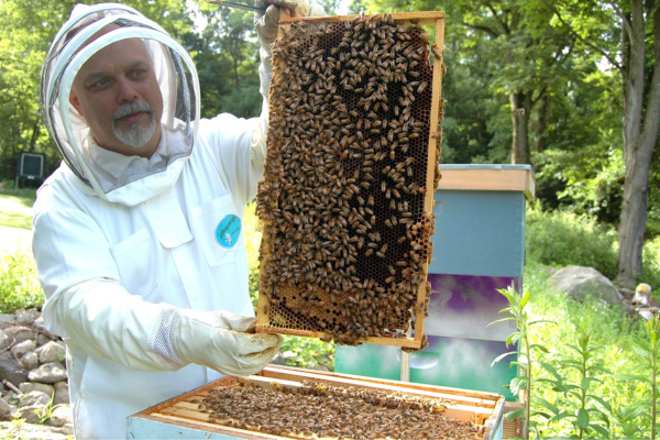 Sustainable Integrated Pest Management in Apiculture